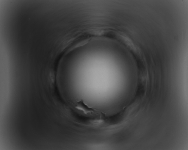 X0000095670374200801081213