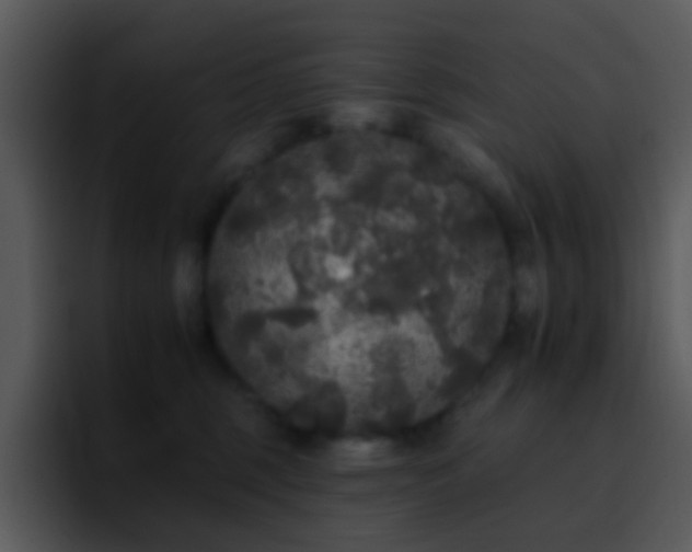 X0000095670375200801081213