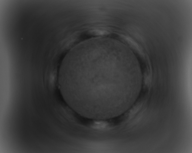 X0000095670376200801081213