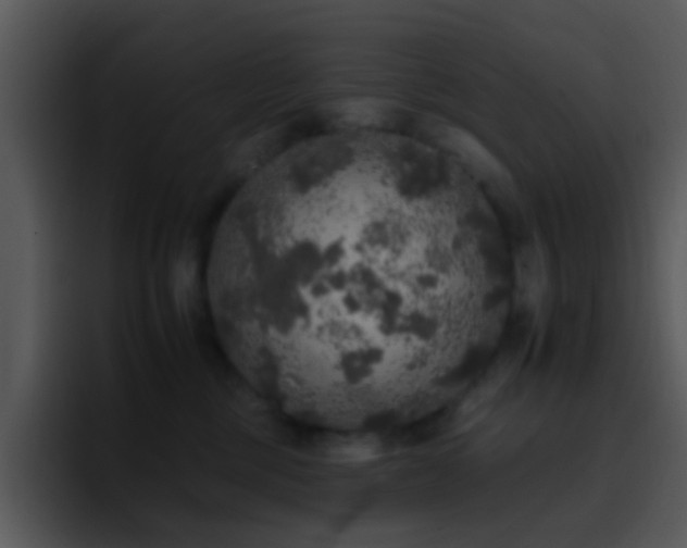 X0000095670377200801081213