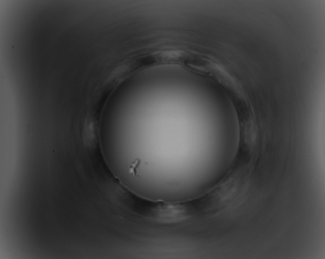 X0000095670378200801081213