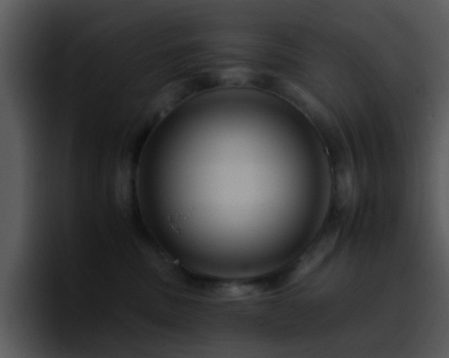 X0000095670379200801081213