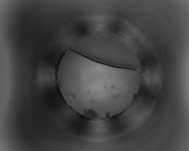 X0000095670381200801081213