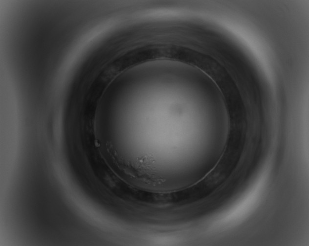 X0000095670382200801081213