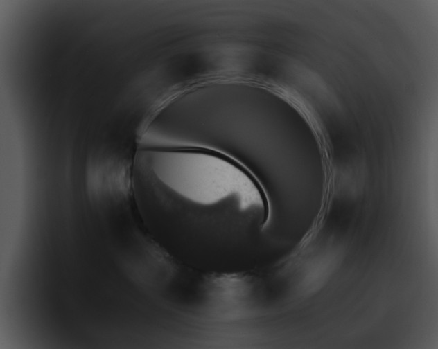 X0000095670383200801081213