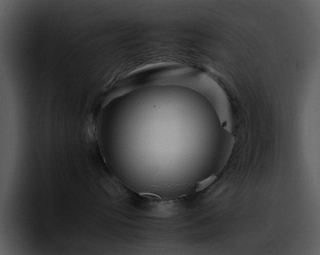 X0000095670384200801081213