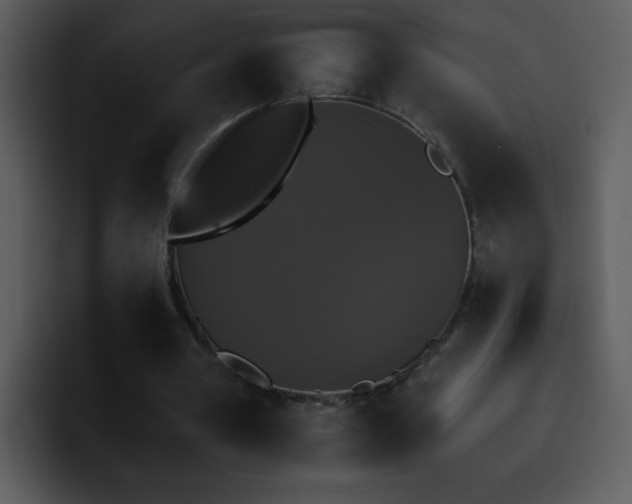 X0000095670386200801081213