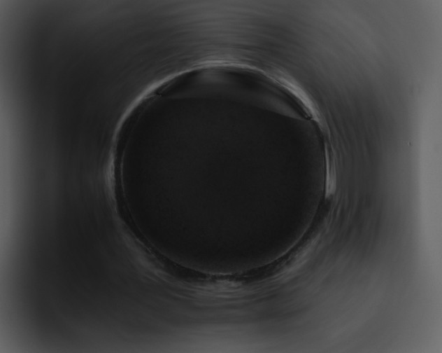 X0000095670387200801081213