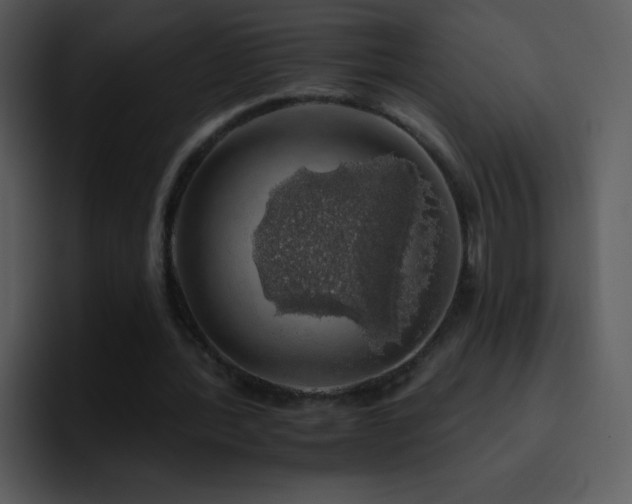 X0000095670388200801081213