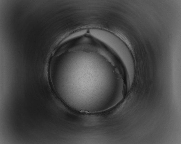 X0000095670389200801081213