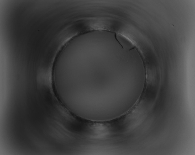 X0000095670390200801081213