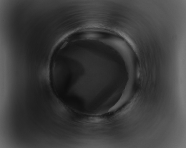 X0000095670391200801081213
