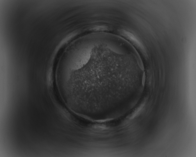 X0000095670392200801081213