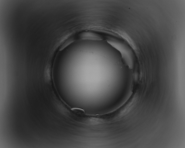 X0000095670393200801081213