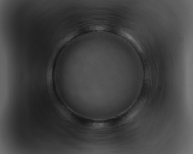 X0000095670394200801081213