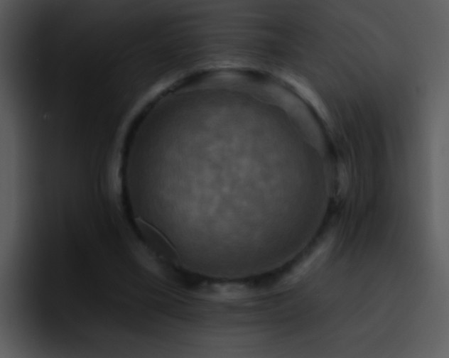 X0000095670395200801081213