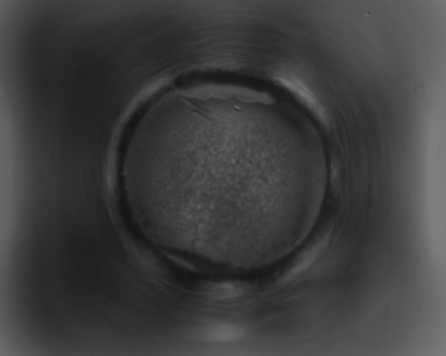 X0000095670396200801081213