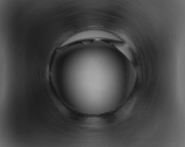 X0000095670397200801081213