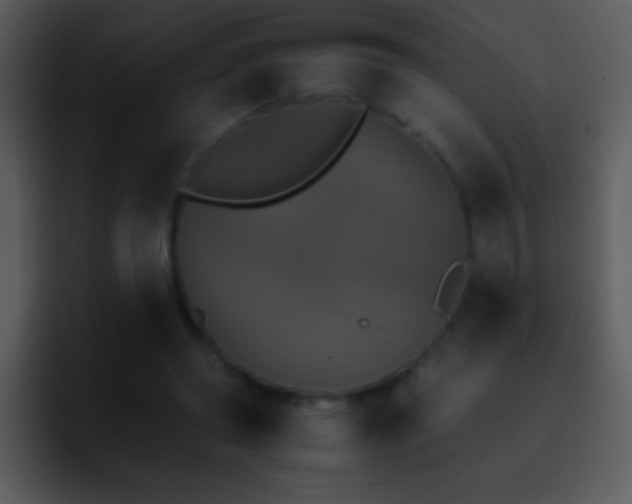 X0000095670398200801081213