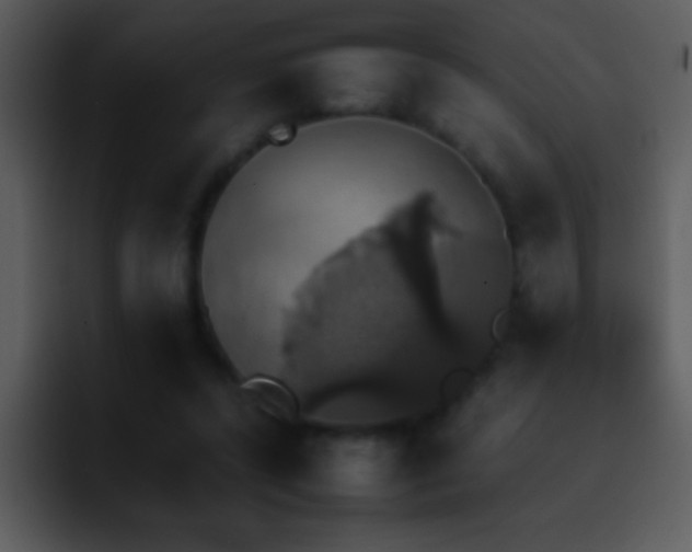 X0000095670400200801081212
