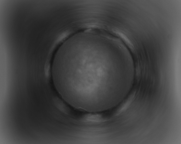 X0000095670403200801081212