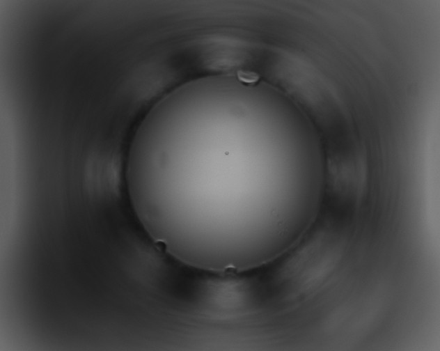 X0000095670404200801081212