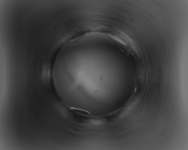 X0000095670405200801081212