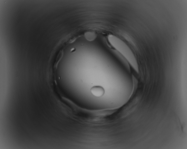 X0000095670407200801081212
