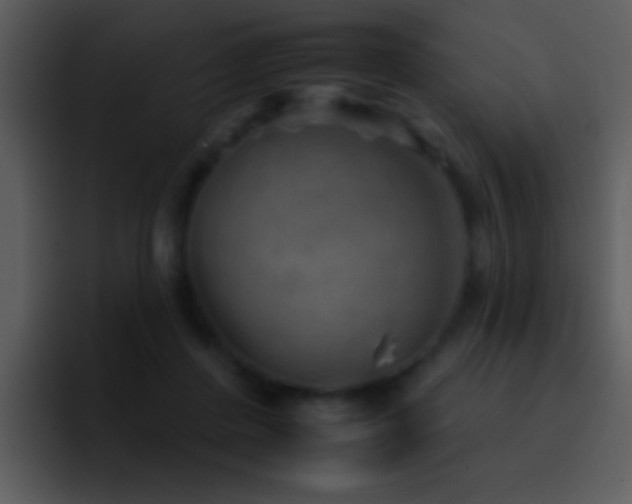 X0000095670408200801081212