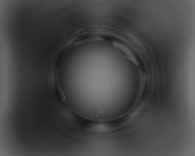 X0000095670409200801081212