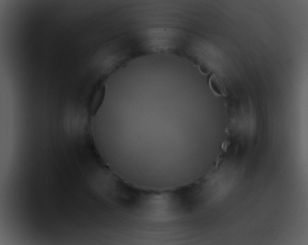 X0000095670411200801081212