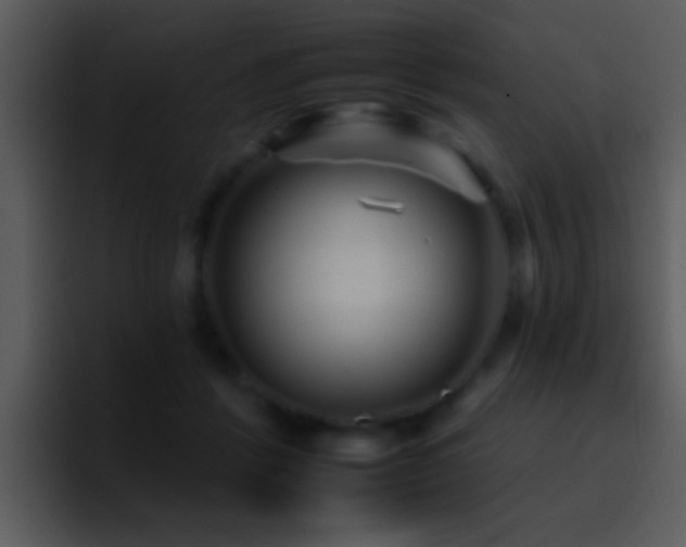 X0000095670412200801081212