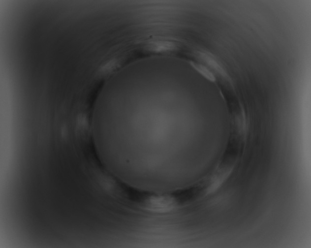 X0000095670415200801081212