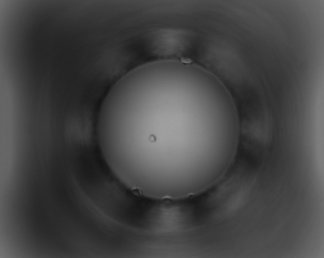X0000095670416200801081212