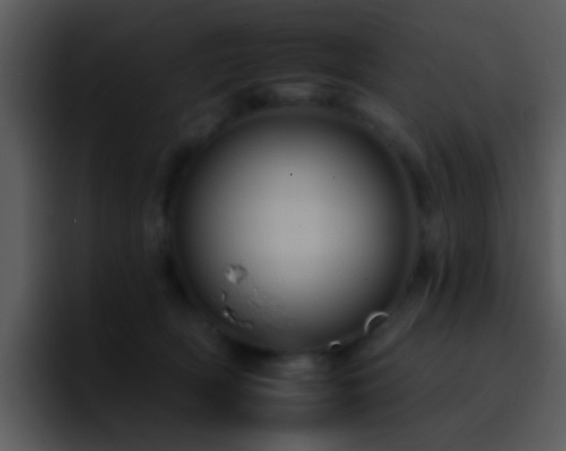 X0000095670418200801081212