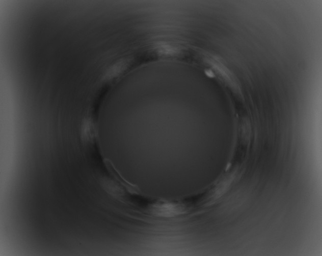 X0000095670419200801081212