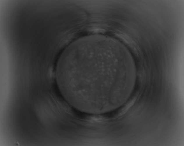X0000095670420200801081212