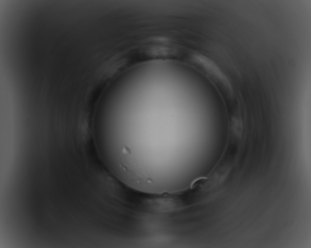 X0000095670422200801081212
