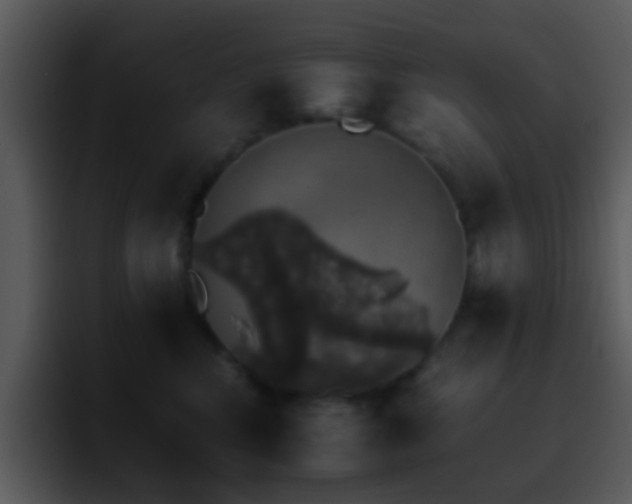 X0000095670424200801081212