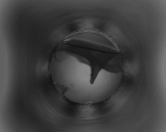 X0000095670428200801081212