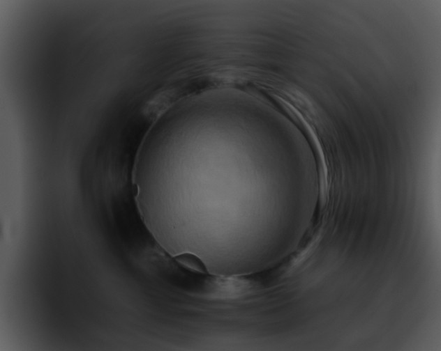 X0000095670429200801081212
