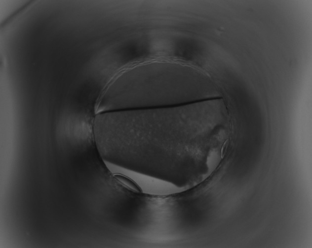 X0000095670432200801081212