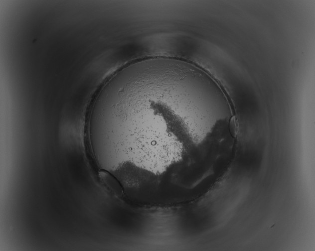 X0000095670434200801081211