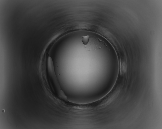 X0000095670435200801081211