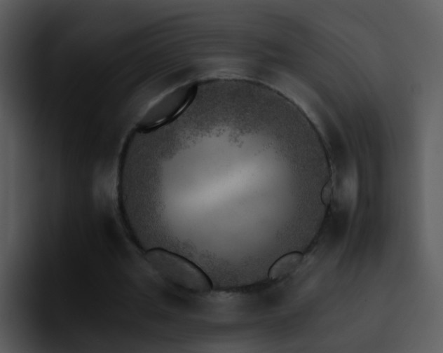X0000095670437200801081212