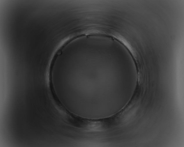 X0000095670438200801081212