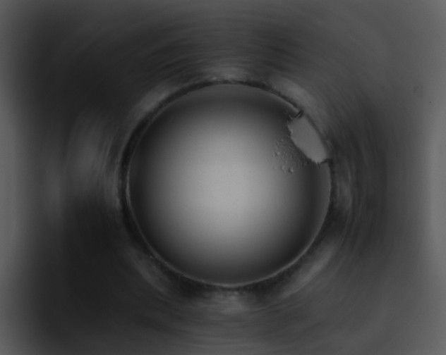 X0000095670439200801081212