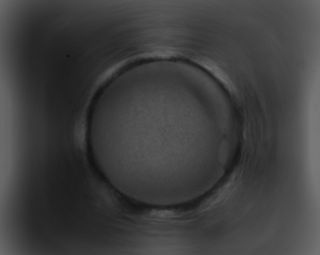 X0000095670440200801081212