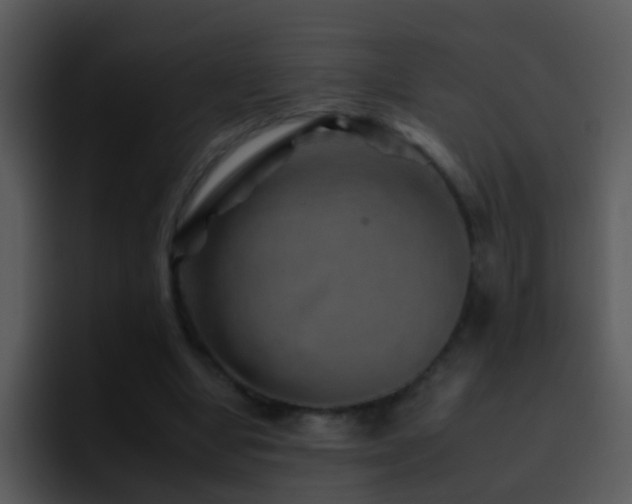 X0000095670442200801081212