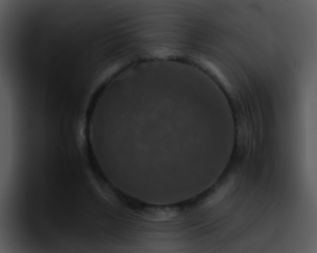 X0000095670443200801081212